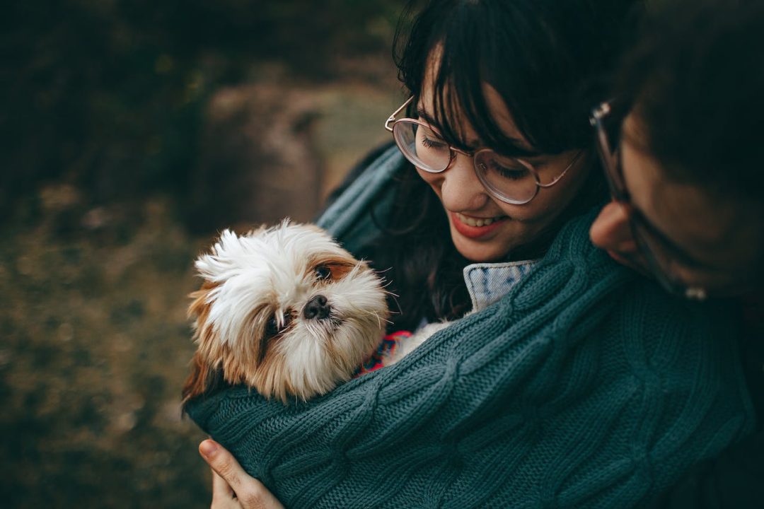 Honden van overleden baasjes