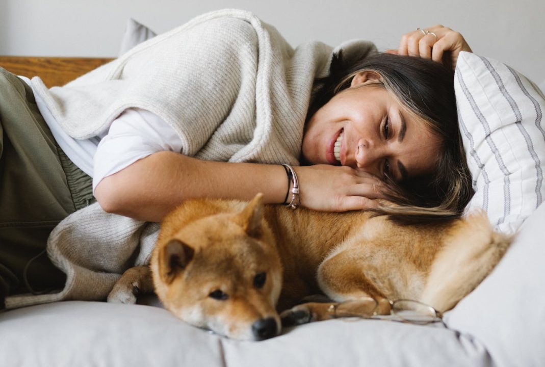 Waarom heeft een hond structuur en regelmaat nodig?